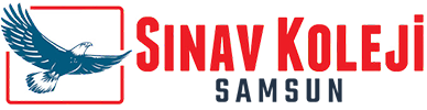 Samsun Sınav Koleji Logo