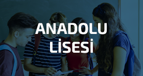 Samsun Sınav Koleji Anadolu Lisesi